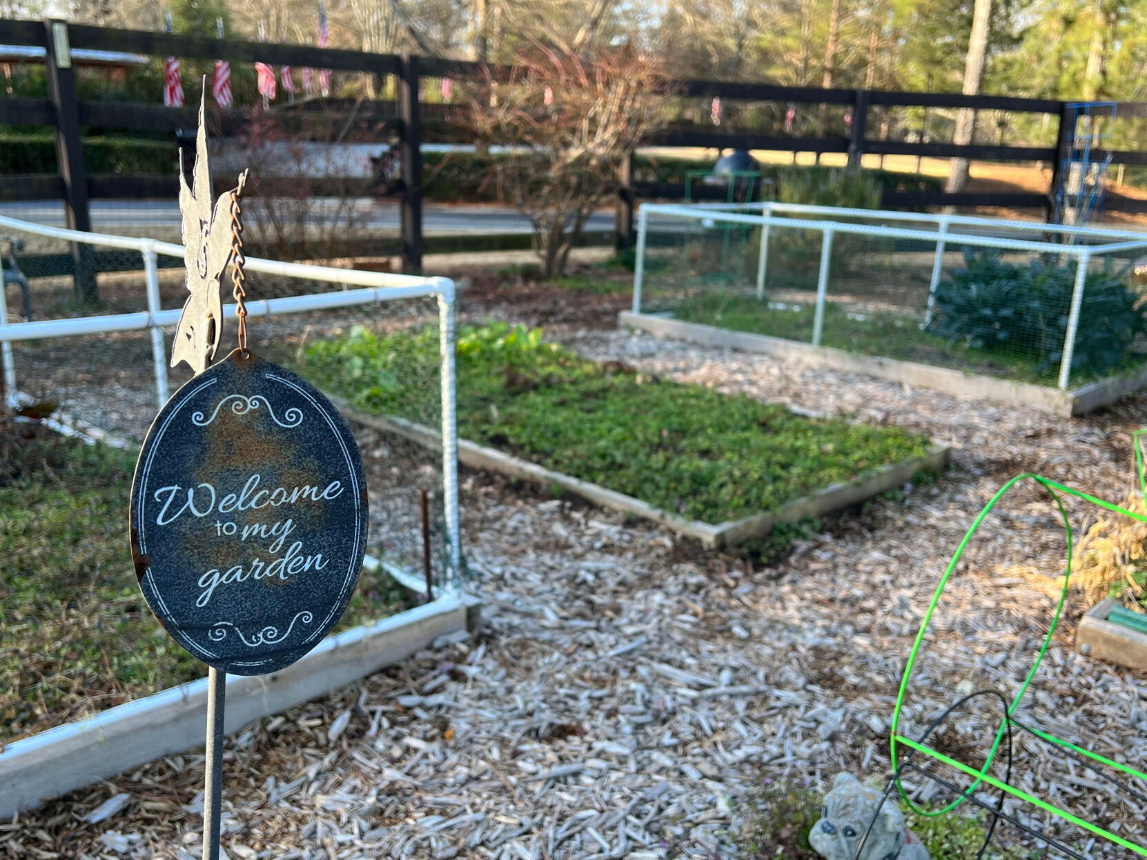 Newtown Park community garden